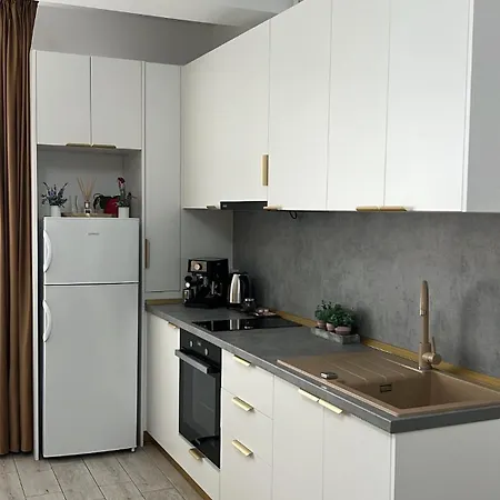 Divine Gold Sea View Apartment Navodari